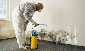 Trusted Eureka, CA Mold Inspection Experts